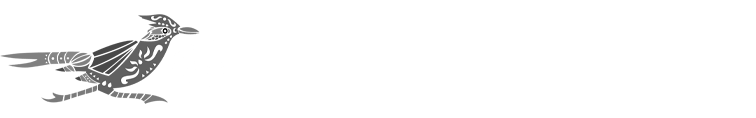 Roadrunner law Firm injury lawyers